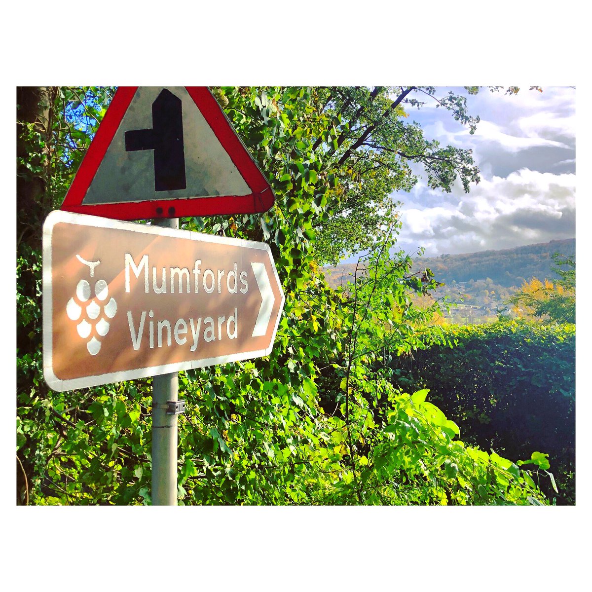 Have you discovered our very local Mumfords Vineyard yet? Tours and tastings are available -  can’t wait to sample a wine made in such close proximity. Raise a glass to the Romans🍷 🍇 

#batheaston #lovebatheaston #discoverbath #discoverbatheaston