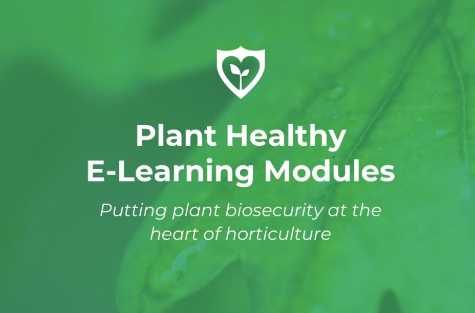 Thank you to all <a href="/DefraGovUK/">Defra UK</a> <a href="/HTAnews/">HTA News</a> <a href="/cobwebdr/">Charles Lane</a> <a href="/celiaKconsult/">Celia Knight MBE</a> <a href="/GrowninBritain/">Grown in Britain</a> <a href="/NSF_Agriculture/">NSF</a>  involved in the development and work on the Plant Healthy E-Learning Modules which are now available at: planthealthy.org.uk/resource-topic…