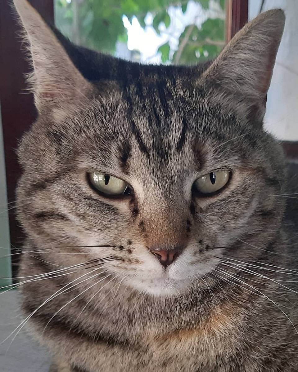 Monday Motivation!♥️😷😉 #studioIIIhairdesign #thestablesvillagemarket #hairatgeorge!