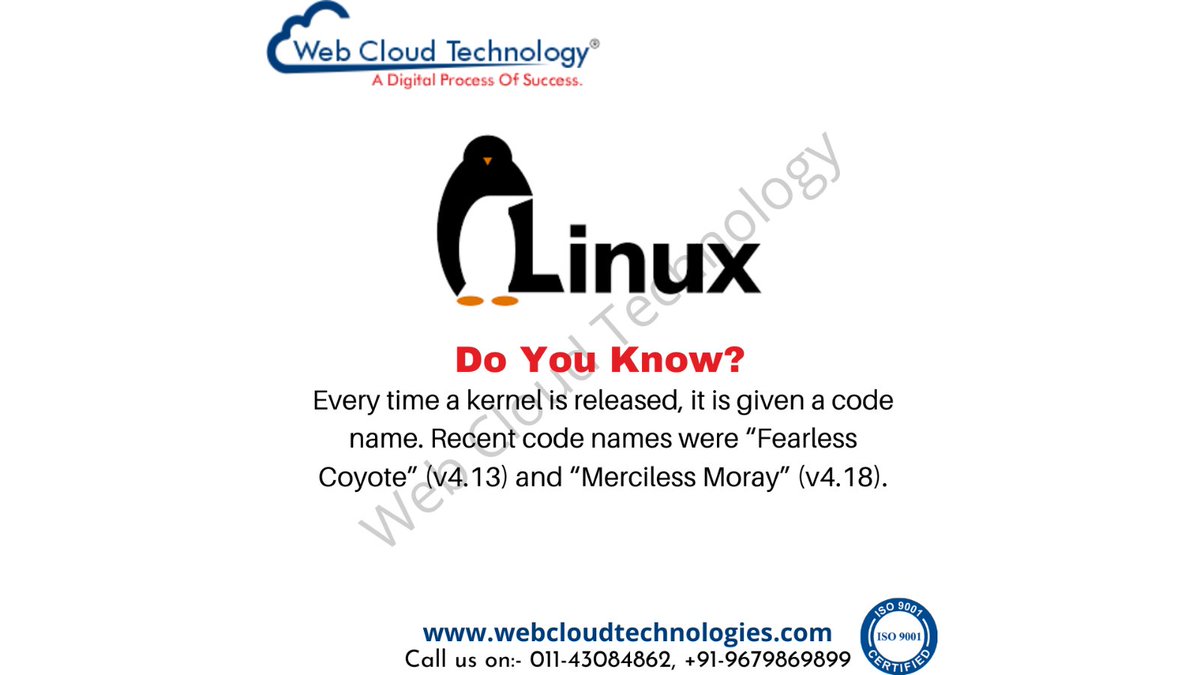 WebCloudTechno1's tweet photo. Linux is one of the top-notch and effective used operating system. The specialty of Linux is that it is more secure compared to other operating systems. For more information click the below link
https://t.co/qDjXu1ti1g
#webcloudtechnologies #Linux #LinuxCommands https://t.co/C8GdDvbQ0u