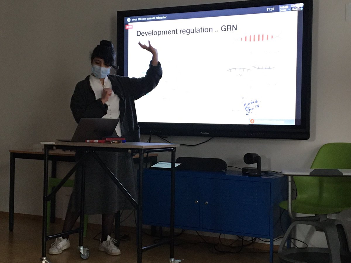 rejsmont's tweet image. The @SynFlyLab Ph.D. student @Ayaa_Gomaa is totally rocking the @CriResearch seminar! @criparis 👏