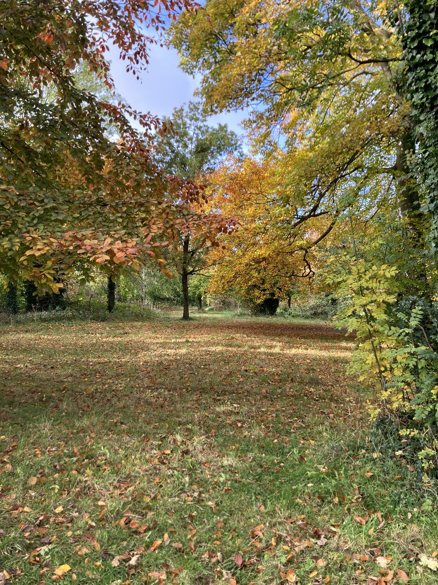 GniGhio's tweet photo. Bank holiday Monday’s! #inmy5km #deerpark #lookatthosecolours https://t.co/co5w0YDpF4