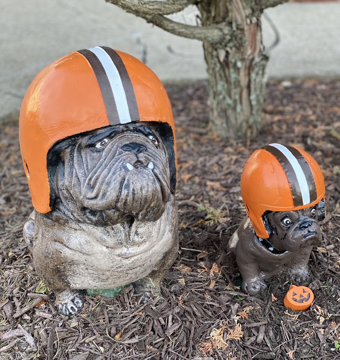PumpkinNation's tweet photo. IT’S #VICTORYMONDAY AGAIN! So from this day forward, every time the #Browns WIN this season, I’m giving away one of my signature #LawnDawgs! To enter all you need to do is RETWEET, LIKE, &amp; FOLLOW! Want to be sure to get a #LawnDawg email me at PumpkinNation@yahoo.com 4 order info https://t.co/Qtus8oCQLg