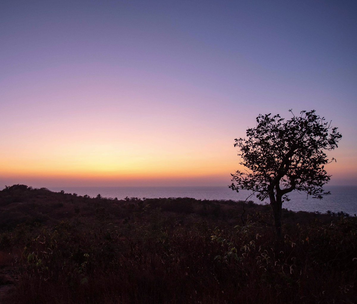 CaboSerai's tweet photo. As the sun sets, we are left spellbound.
#caboserai #caboderama #southgoa #barefootluxury #SustainableTravel #responsibletourism #wellnessvacay #beachesofgoa #goatravel #incrediblegoa #beachlife #tropicalparadise https://t.co/CIkAMNGcXW