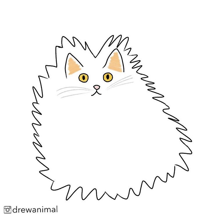 Drewanimal1's tweet photo. When I woke up in the morning and forgot to fix my hairstyle 
.
Cat owner: unknown 
.
.

#cat #kitten #kitty #animal #fun #illustration #art #purr #interesting #design #creativity #paint #drawing #creative #artist #sketch #graphicdesign #drawcats #animaldraw #cute #cuteanimals https://t.co/aiw5wA7QAt