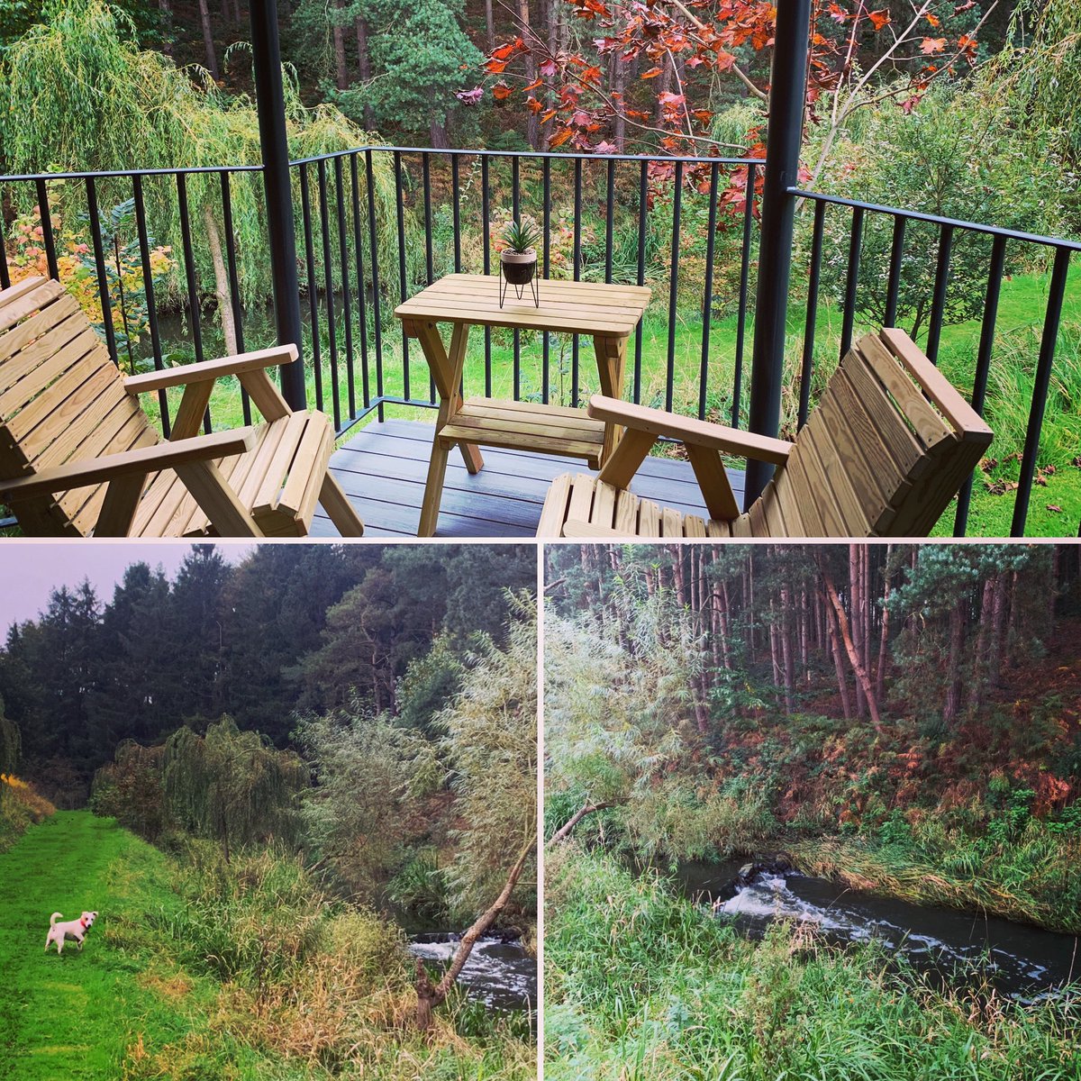 Keep your eyes peeled if your staying with us this week 👀 Otters have been spotted on the river this weekend 🦦 #otters #riverside #halfterm #mondaymotivation #monday #naturelovers #glamping #staycation #shropshire