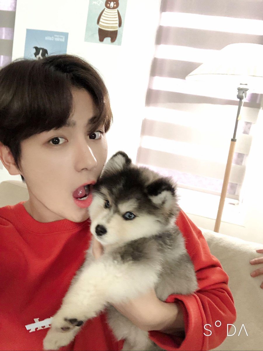 milk3oi's tweet photo. 강아지 와압 https://t.co/J4e9nOCABO