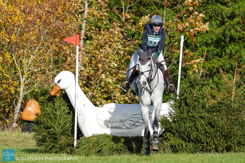 Eliza Stoddart has made it back-to-back wins in the <a href="/BEventing/">British Eventing</a> 5-Year-Old Championship held this year at Oasby (2) - our quick wrap up from Championship Sunday at Oasby here an-eventful-life.com.au/ukeurope/trist… #eventing