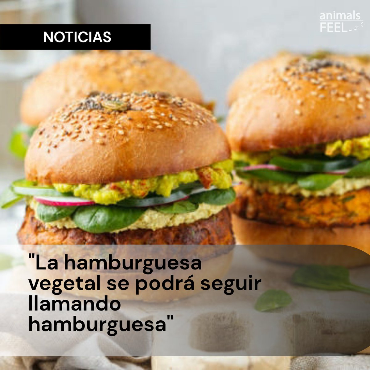 Animals_Feel's tweet photo. El Parlamento Europeo rechaza una enmienda que pretendía prohibir el uso del término hamburguesa en alimentos vegetales. 
#Vegan #hamburguesasvegetales #parlamentoeuropeo #parlamento #Espana #Noticias https://t.co/30UUxd9DZl