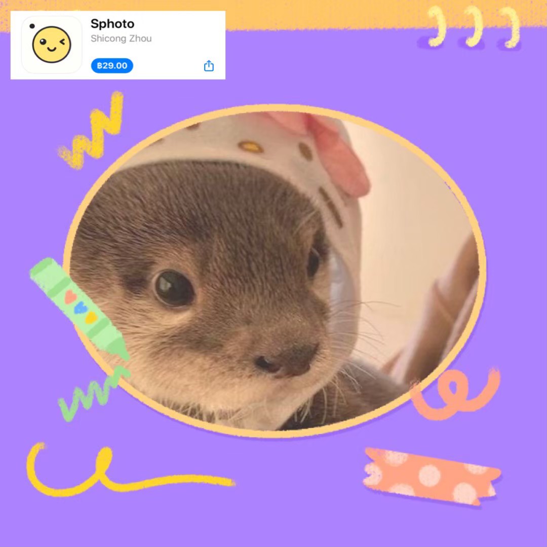 taetteaa's tweet photo. 🍒 Sphoto ios🍕
เป็นอีกแอพที่น่ารักมากๆๆ ✨💕
มีของตกแต่งเยอะมากเตง เทมเพลตที่มีให้ก็น่ารักสุดๆ แบบคิ้วทึมาก เยอะจนเลือกไม่ได้ ใครอยากแต่งรูปสไตล์เกาหลีๆ น่ารักๆต้องตำแอพนี้เลย😍
.
🛒ราคา 15 บาท🌼🍉
.
#แอพดีบอกต่อ #แต่งสตอรี่ไอจี #คุมโทนเกาหลี #แอพแต่งรูป #Sphoto #คุมโทนไอจี https://t.co/9RtYk5x9U4