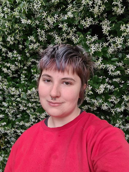 Should I take nudes infront of these flowers? https://t.co/myGjifPKQU