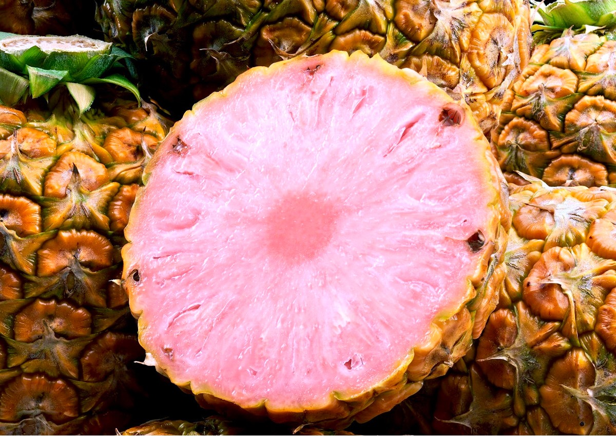 Розовые фрукты фото. Розовый ананас. Красный ананас. Съедобные розовый ананас. Ананас с розовой мякотью.