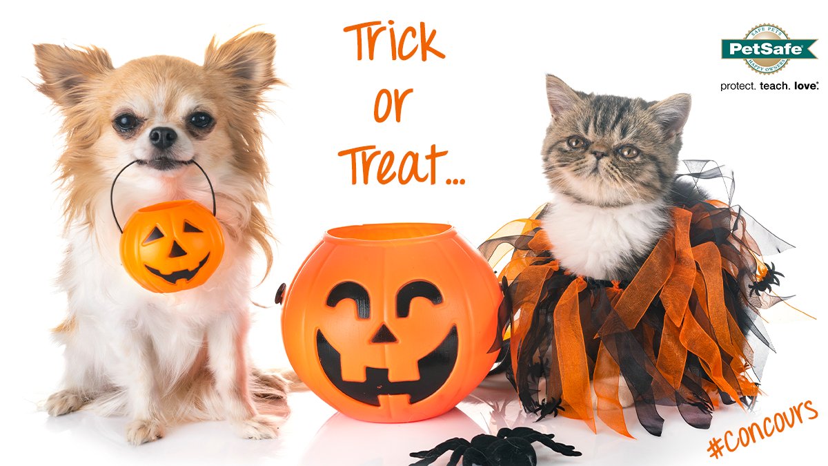 PetSafeFR's tweet photo. 🎃 Follow &amp; Retweet @PetSafeFR 🎃 Bientôt Halloween ! Envie de gagner un cadeau monstrueusement fun pour votre #animal ? A vos retweets pour gagner soit pour chat : 1 #FroliCatCHEESE™, soit pour chien : 1 #BusyBuddy #Waggle &amp; 1 #GripNTug ! TAS le 30/10/2020. (*réservé à la 🇫🇷 ) https://t.co/V8EPGdQBnn