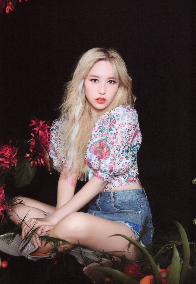 hourly mina ♡ tweet media