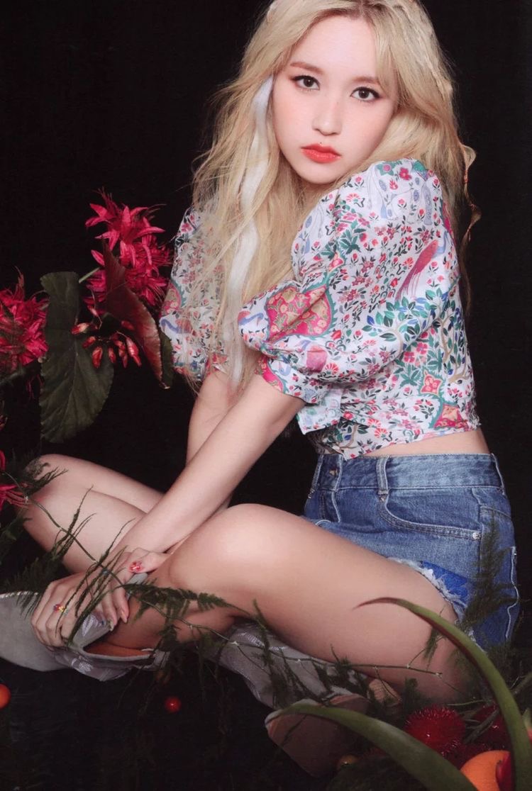 hourly mina ♡ tweet media