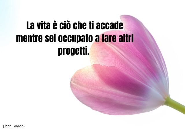 BUONGIORNO a
tutti,con un ami chevole e sentito abbraccio.
Riflettete su quan
to è  scritto sul
fiore❤💚🧡🙏🏽⚘