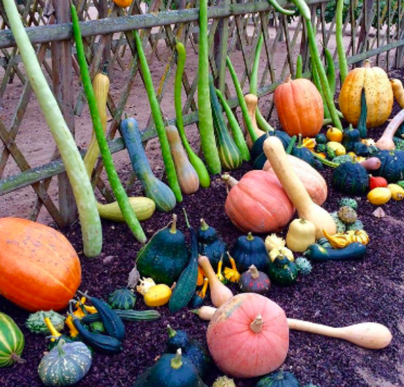 Mamscook tweet media