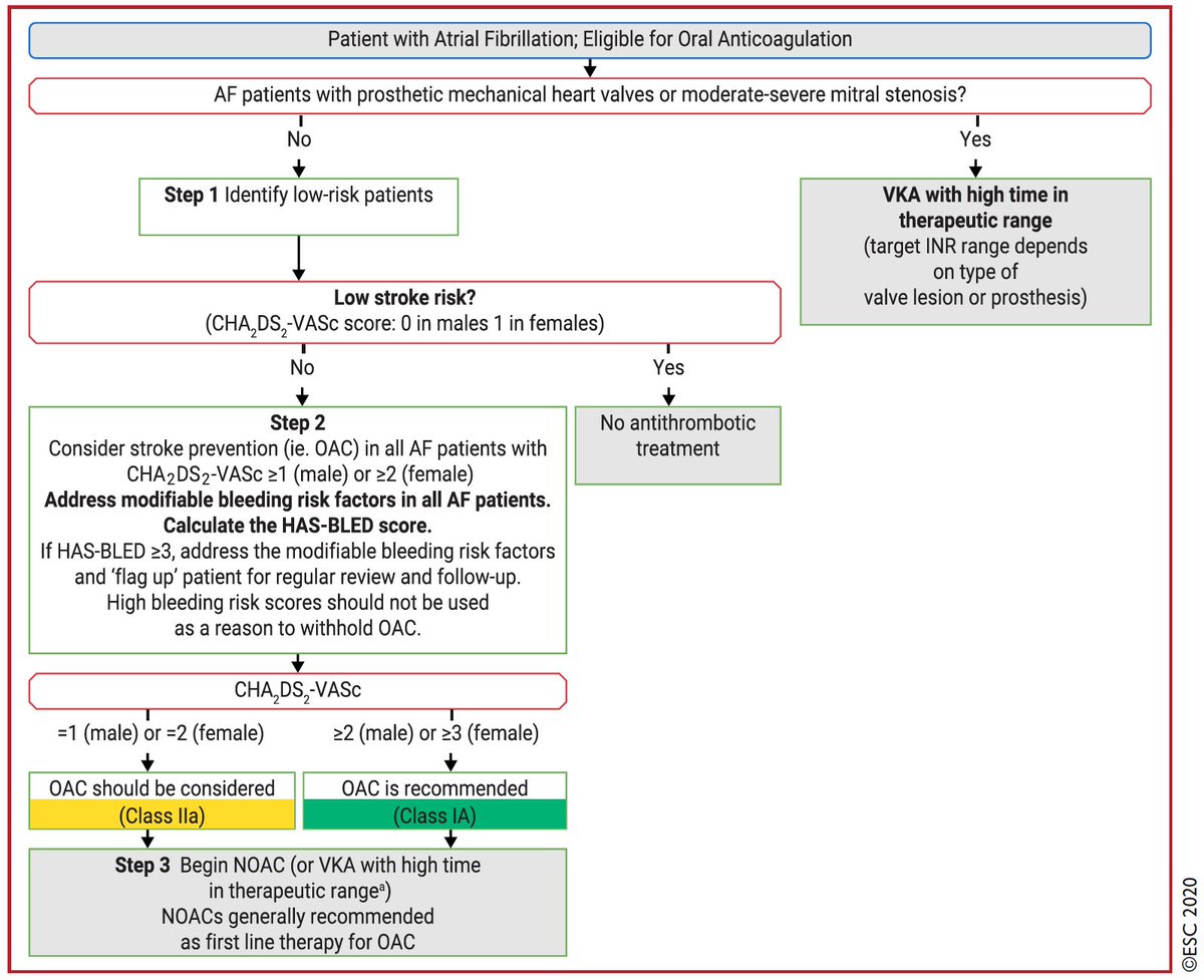 14/24Well-known: oral  #anticoagulation should be considered if CHA2DS2-VASc ≥1 in males and ≥2 in females. In patients with  #AFib initially at low risk of stroke, first reassessment of stroke risk should be made 4 - 6 months after the index evaluation. A smart recommendation!