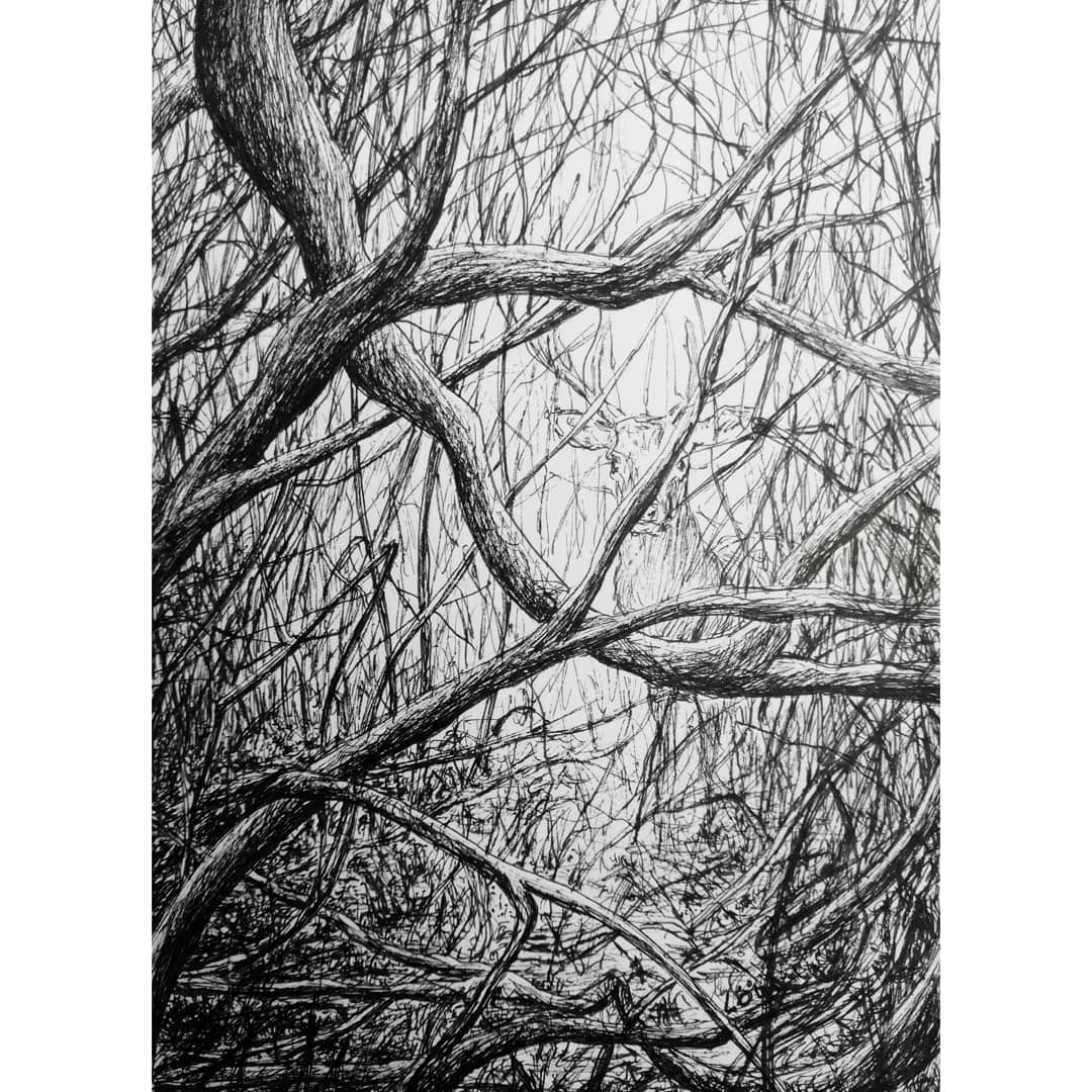 Lowislow's tweet photo. ©Loïs Low
Un dessin vous intéresse ? Contactez-moi! :)
#dessincontemporain #contemporarydrawing #lille #lilleart #illustrationlille #loislow #hautsdefrance #artistelille #lilledesign #illustration https://t.co/Y9BzMck9FZ