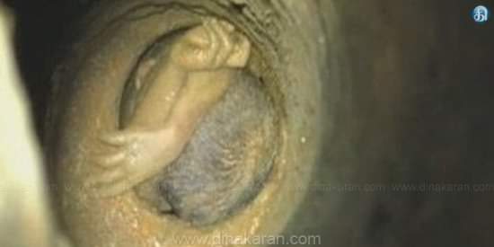 laipramawathy14's tweet image. Still remember this 😭😭😭 one year Aachu 😭😭😭

 #PrayForSujith  

#BiggBossTamil4