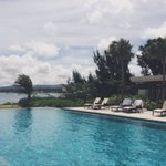 ツイートに含まれる画像