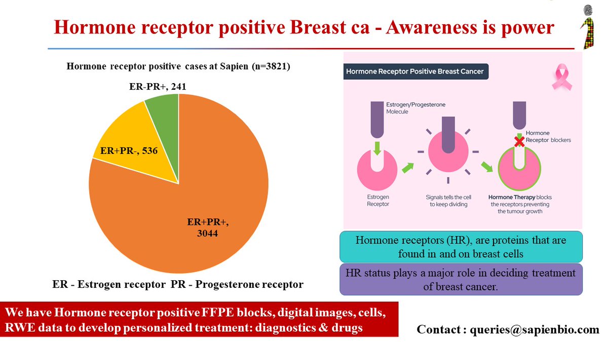 Sapienbio2012's tweet photo. The largest category of breast cancers are hormone receptor (HR) positive. 

https://t.co/JKpPdN7T93 

#breastcancer #breastcancerawareness #hormonereceptors #hormonaltherapy #hormonereceptorpositive
#ER #PR #breastcancersurvival #breastcancercare #breastcancerfighter #HER #BRCA https://t.co/Mj0rMl5LlY