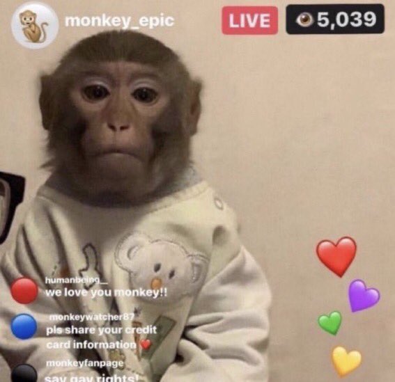 artaccident12's tweet photo. I JUST WANT HIM TO RELEASE GOLDEN ALREADY
ITS ONLY 1AM
#goldenmv #Golden https://t.co/qt3y2nJbRY