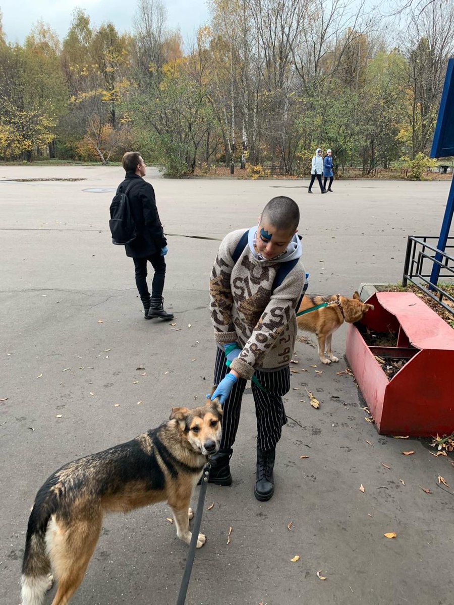 dorinvest's tweet photo. Активисты РГСУ вновь приехали в «Зоорассвет» 🐾
⠀
Ребята навестили кошечек, а потом отправились на прогулку с собачками в парк Кусково.
Все усатые и хвостатые обитатели приюта были несказанно рады гостям!
#зоорассвет #кусково #благотворительнаяакция #volonterrgsu #rgsu #РГСУ https://t.co/JEkVpACEqX