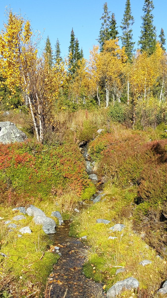 AvdalHjelle's tweet photo. @EarthPix Love it 🍂🥰🙏 https://t.co/MgQZEJnyWT