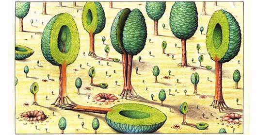 WAIT HOW COULD I FORGETTTTT. The entire Codex Seraphinianus 