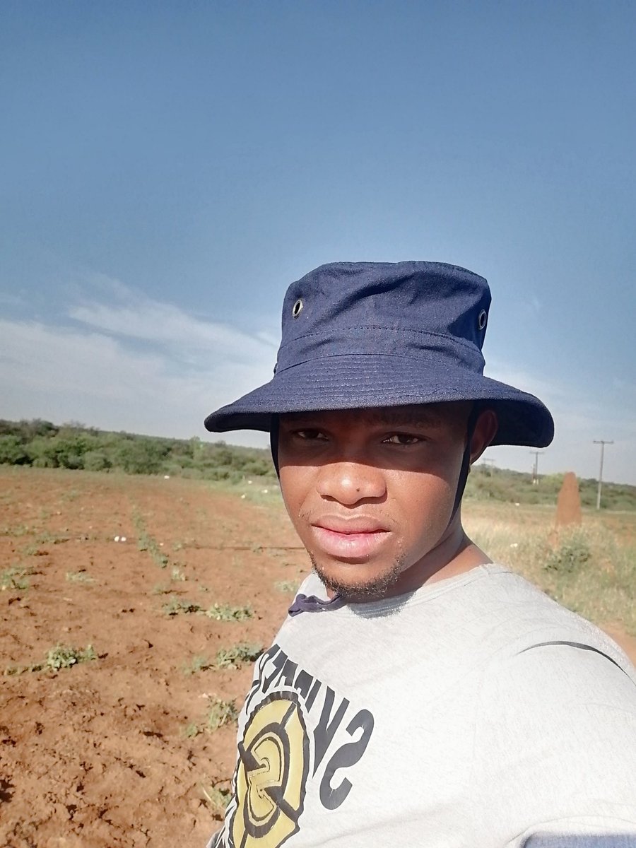 DMotone's tweet photo. 🤠🤠 https://t.co/114nGuSKGE