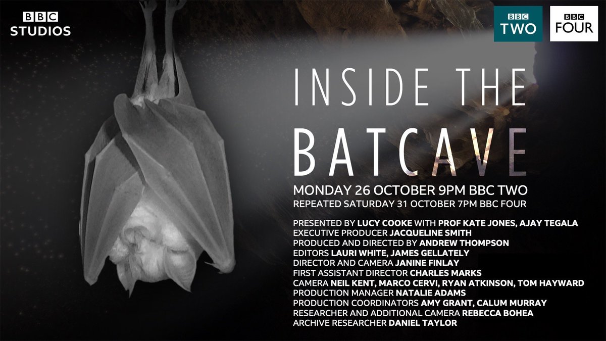 _BCT_'s tweet photo. #InsideTheBatCave is on @BBCTwo tonight (26th October) at 9pm. Don's miss it! Good opportunity to have a #Halloween great British #BatBake practice run before hand. Do share photos of your creations with hashtag #BatBake. More info here:  https://t.co/tQYS9y34hx #GBBO https://t.co/fvdbHeAMun