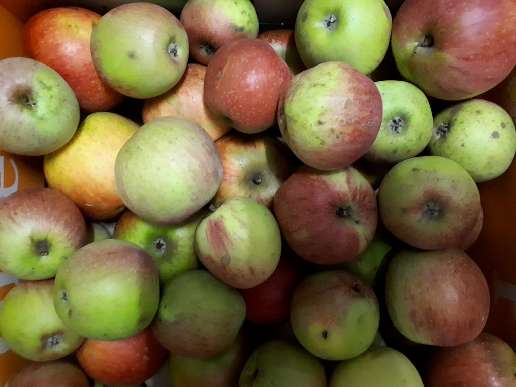 Alles was übrig ist, findet ihr auf unserem Markt. Hier ein gutes Beispiel, um Lebensmittel, sinnvoll zu verbrauchen: direktvombeet.de/biete/aepfel-o…