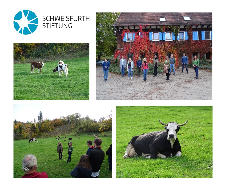 Glückliche Kälber &amp; zufriedene Kühe erlebten die TeilnehmerInnen des Praxisdialogs kuhgebundene Kälberaufzucht auf dem Völkleswaldhof. Vielen Dank an Kooperationspartner, OrgaTeam, ReferentInnen &amp; TeilnehmerInnen für wertvolle Inputs.
Zum WertKalb-Projekt: bit.ly/34rvpEd