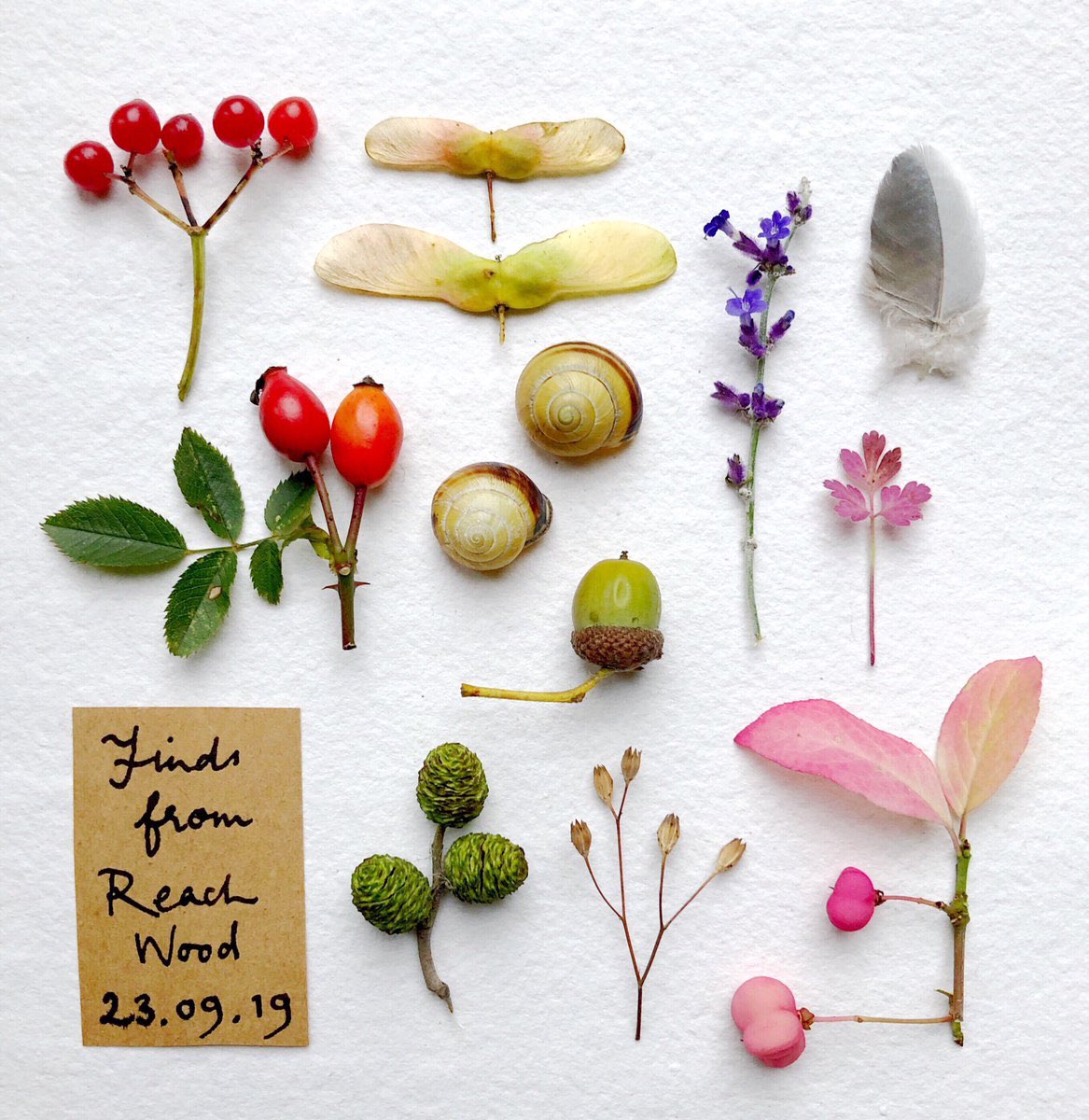 Seek small nature finds while walking &amp; your mind will enter a focussed state called ‘flow’, that dials down anxiety. 

With each discovery you’ll get a burst of mood-boosting dopamine in your brain. 

Collecting lovely things that fell off trees really can help with...all this.