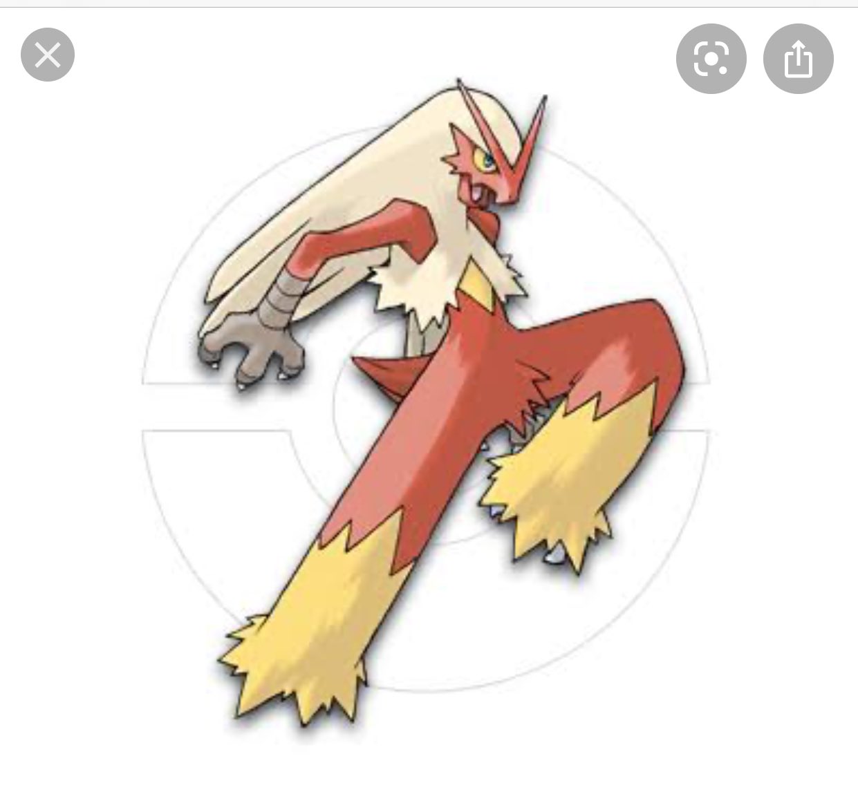 えだだいず バシャーモといえば3世代当時のこのイラストが印象に残ってるからとびひざげり無くなるなんて思いもしなかったぜ まあルビサファ時代こいつとびひざ覚えないんだけど