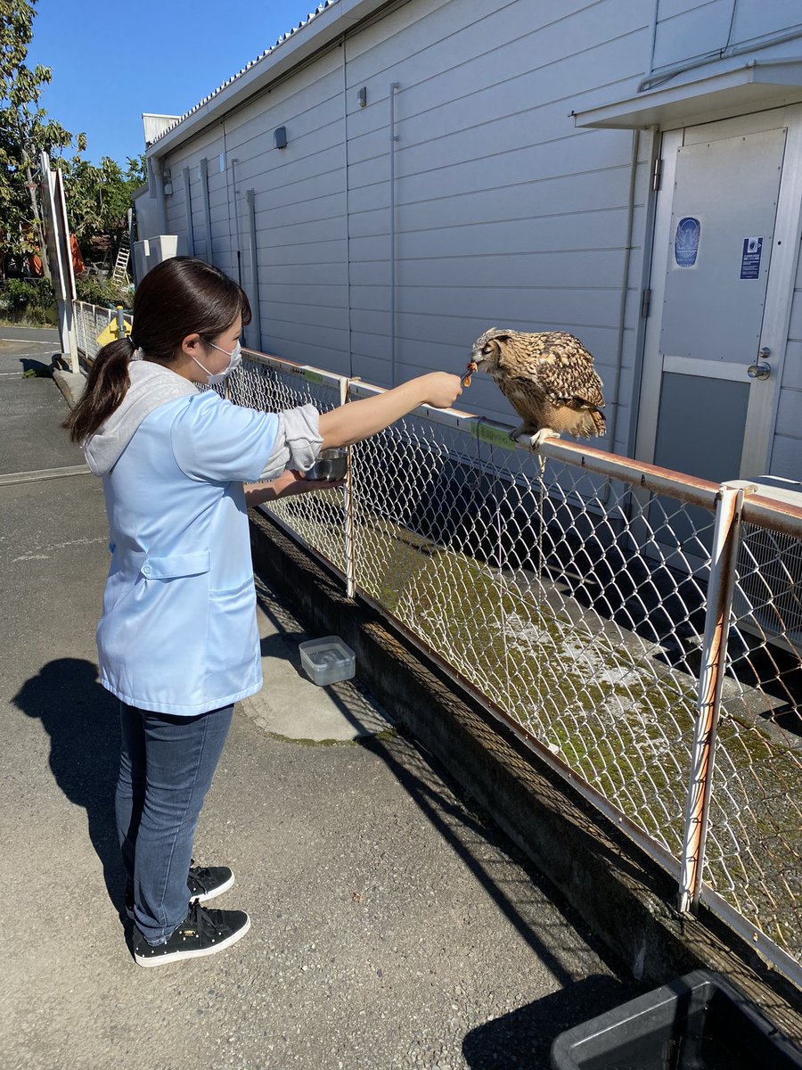 高崎動物専門学校 高崎動物専門学校