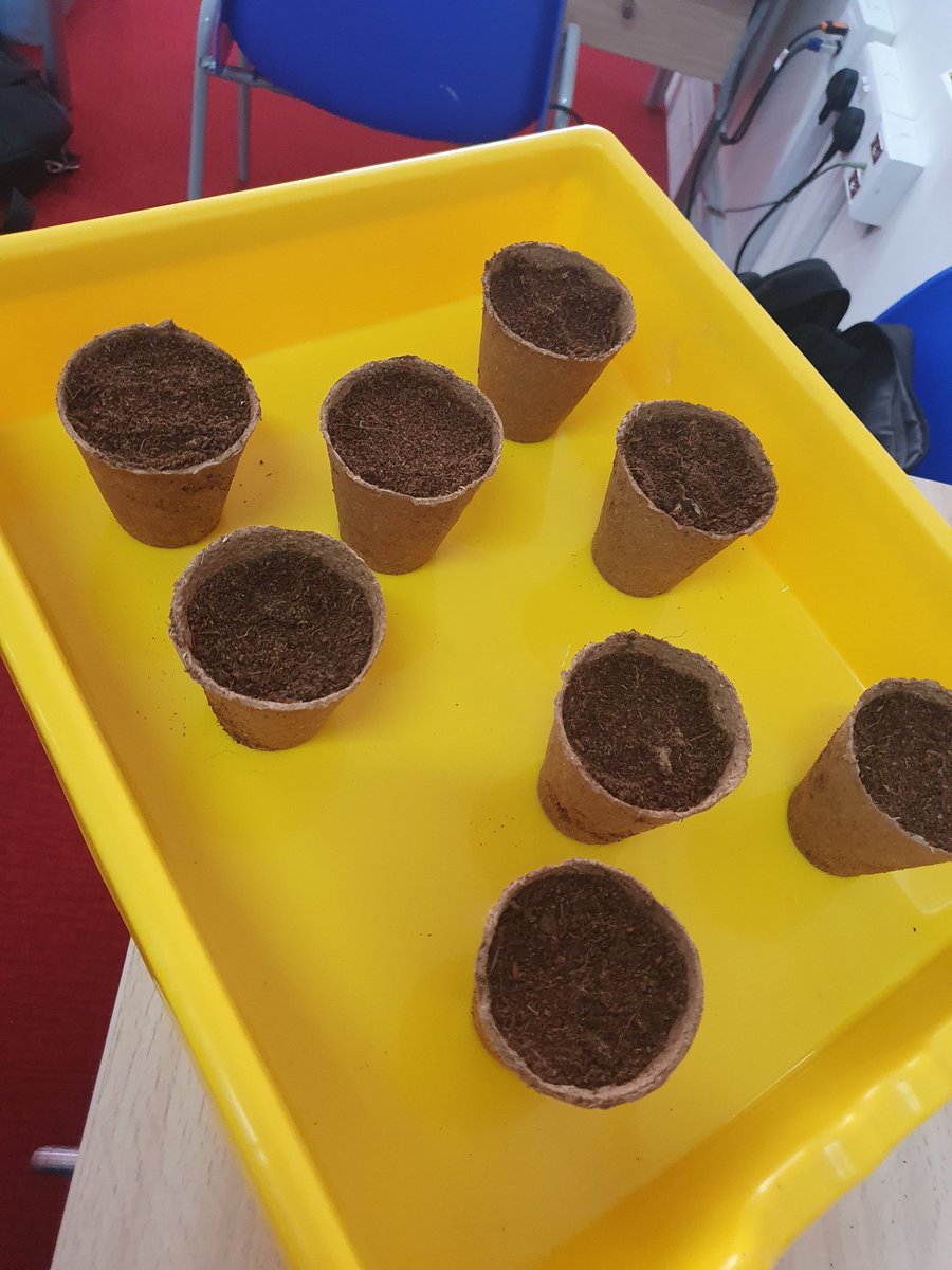 STEAM | Victory Heights Primary School tweet media