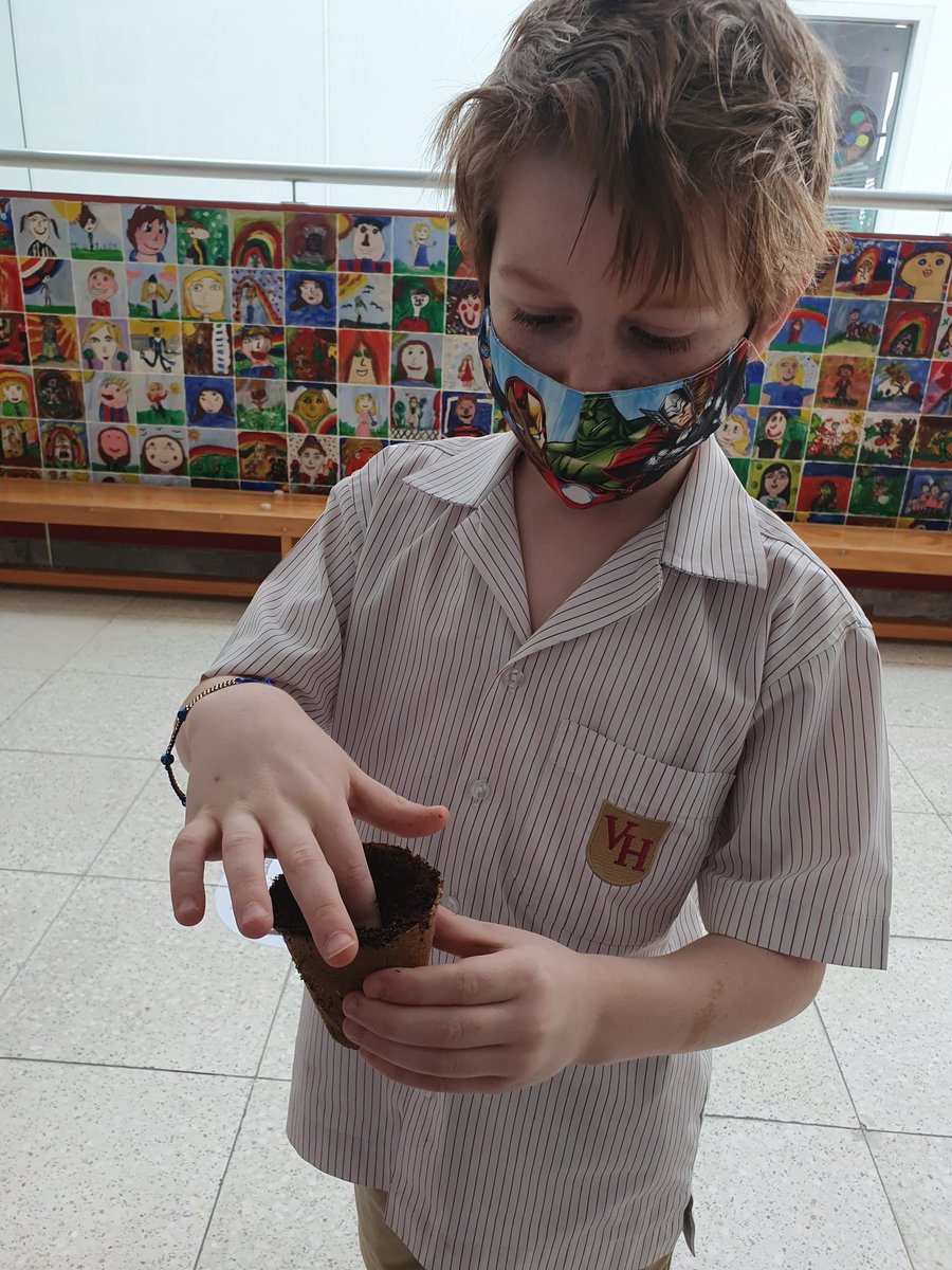 The planting has started. <a href="/VHPS_Year3/">Year 3 | Victory Heights Primary School</a> are leading the way in making VHPS a green paradise. Looking forward to seeing the first green shoots. #groundtoplate #GreenFingers #VHPSinspires