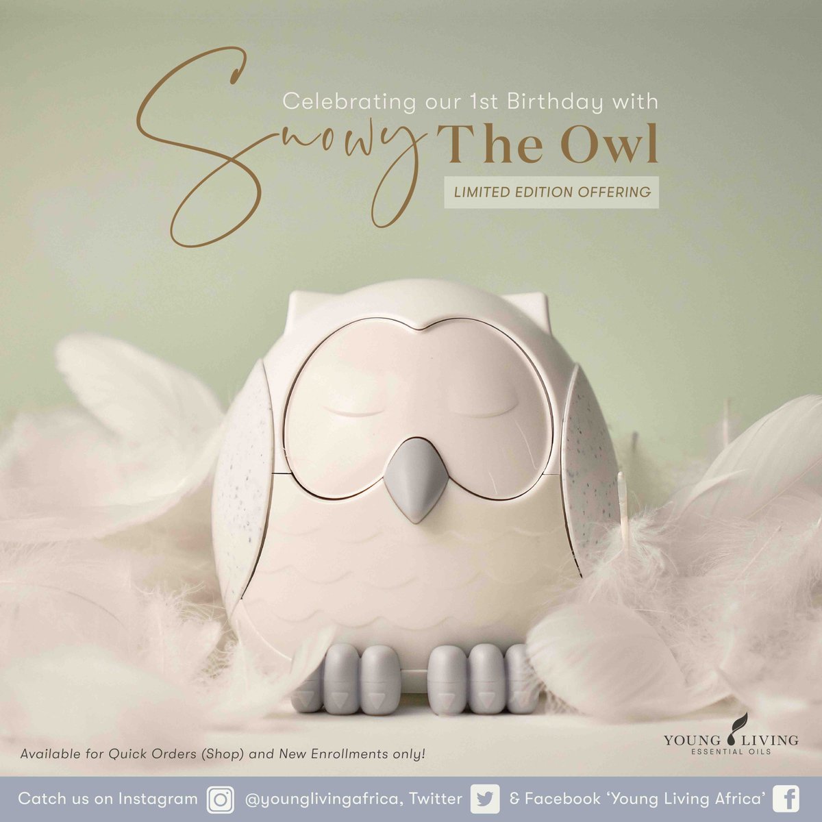 YoungLivingAF's tweet photo. ❄️❄️We're celebrating our first birthday with Snowy The Owl ❄️❄️
Get your hands on Snowy The Owl at 12:00PM today.
With over 100 stickers and a FREE Lavender 5ml Essential Oil who wouldn't want this amazing diffuser? 🍃
#YLAfrica #ONE2020 #YLAfricaTurnsOne https://t.co/kKilPQXCGP