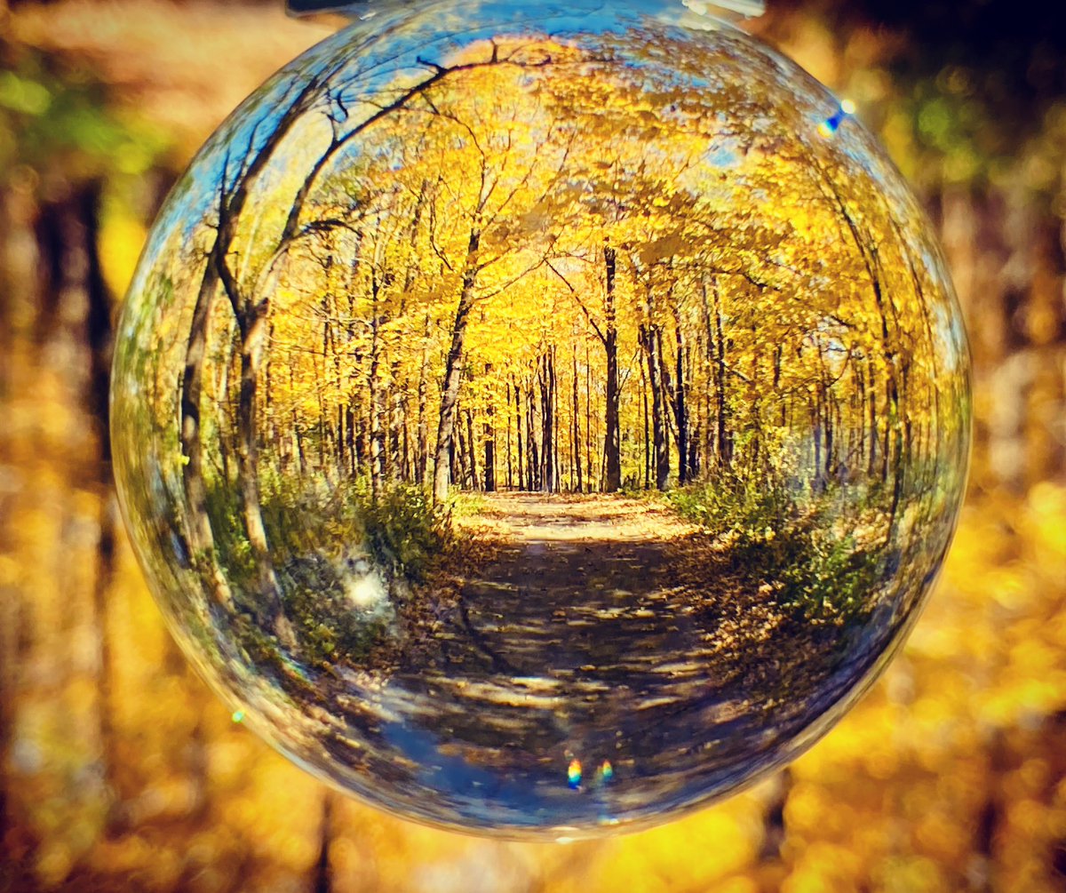 lowbrain_'s tweet photo. Crystal ball photography.
#minnesota #fallcolors #ruralamerica #yellow #fallleaves #nature #photography https://t.co/xF04NC4V3Z