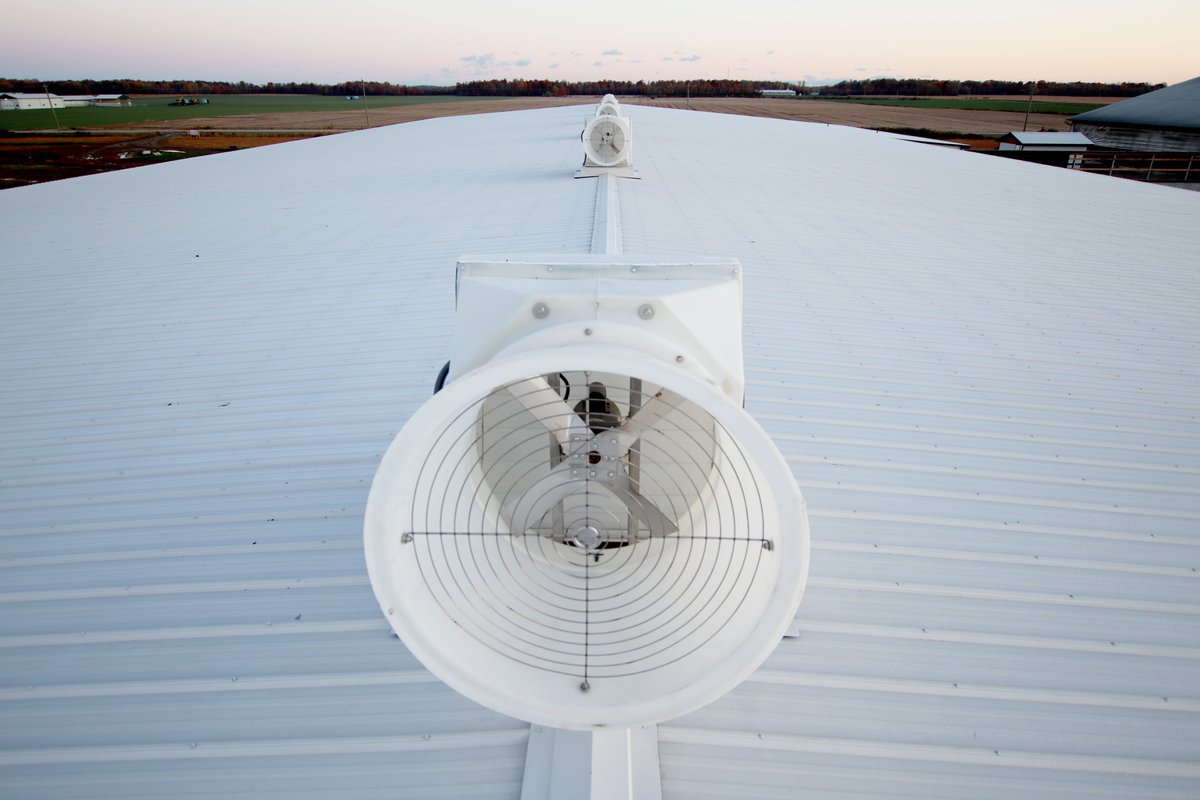 dairylanesystem's tweet photo. Tweet 1/2-Here's a progress update from the 5 x GEA R9500 robot project at A.H.E. Dairy Farm! The DLS tunnel and ridge fans and black polycarbonate side walls are now installed.

#DLSdairy #DLSrobotics #DLSstructure #dairyfarmers #dairyfarming #dairycows #dairy #agriculture #milk https://t.co/ogUEVD5L32