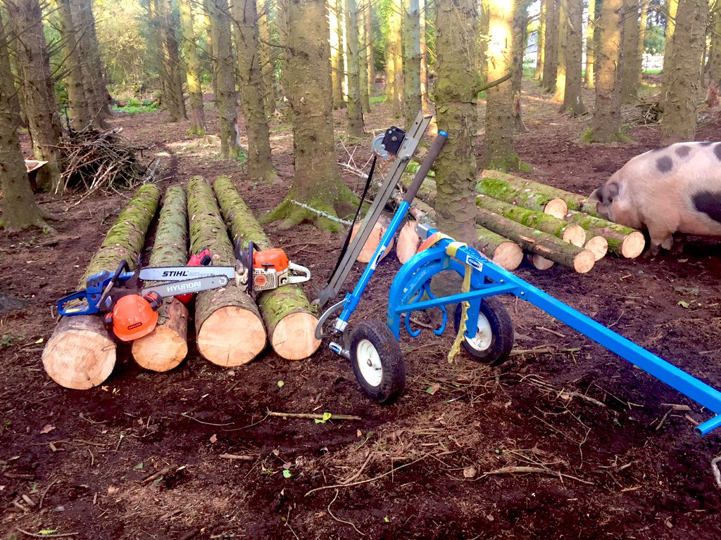 AfriNoonPerm's tweet photo. Running a chainsaw awareness course today... Teaching safety, the weather is good and its time for the old trees to comedown to make way for new ones..  
#sustianableliving #Chainsaw #permaculture #livinginfrance 
#stihl #logrite #Oregon #norwood https://t.co/FSir56KLjK