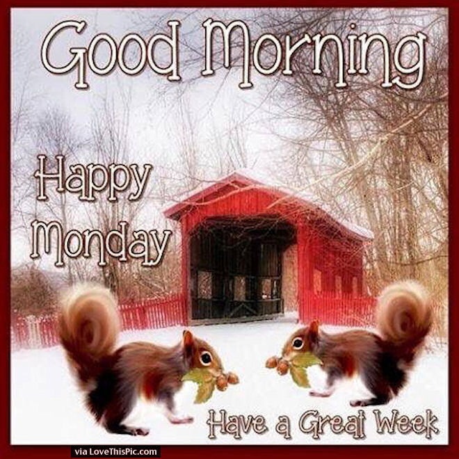 CartersCollecta's tweet photo. #MondayMotivation - #StayPositive
#SemiShielding
Up way b4 dawn + starting to feel it.
Start of a #NewWeek
Theme: #Boxes
Priorities:
Parcels to pack
Do what I can
Stuck for #GiftIdeas?
See our #Antique / #Vintage / #Collectables website for inspiration
https://t.co/NPLKhy4hIL https://t.co/RXksEUTX0l