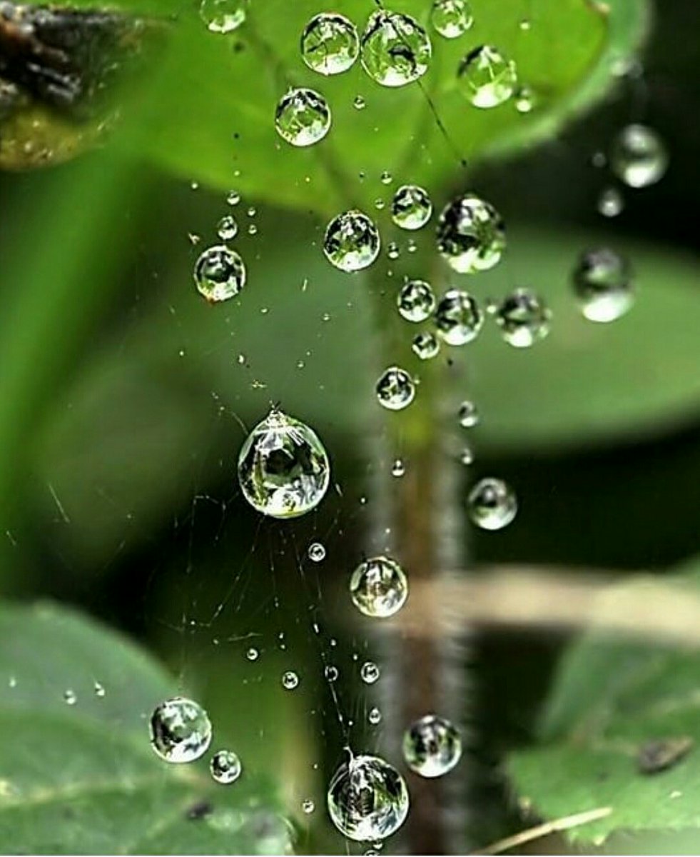 mhajer321's tweet photo. @1_Dima_Asser اللهم صلِّ وسلم على سيدنا محمد 
صلاة ترضيك وترضيه وترضى بها
عنا يارب العالمين 

صبَّحك الله بأنوار المصطفى 
دكتورة #ديمة https://t.co/IUspJ626qF
