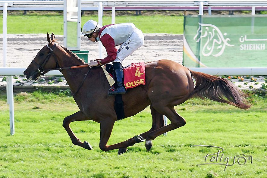 Hippodrome_Pau's tweet photo. Un nouveau we qui a porté ses fruits :
🥇👍 #teamrouget avec Sassandra
🏆👏 @ecuriebrogi avec Dream in my head 
🥇👍 pour Jean Pierre DAIREAUX avec Hyalite Pompadour
Bravo à toutes ces équipes !

Avec @BirabenJean 

#sudouest #entraineurs #domainedesers #courseshippiques https://t.co/dMzI4Wa0XB