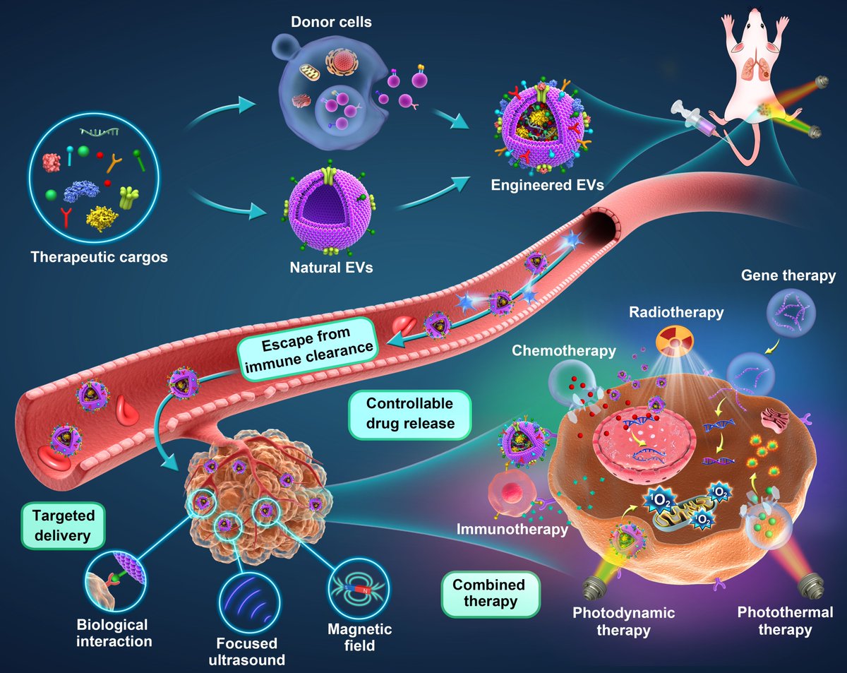 SantosLab_UMCG's tweet photo. JUST ACCEPTED REVIEW PAPER @ ADVANCED MATERIALS (IF=27.4)@AdvSciNews:"Engineered #Extracellular #Vesicles for Cancer Therapy":Focus on the recent advances in the strategies &amp; methodologies of engineering EVs for scalable production &amp; improved cargo-&amp;tumor-targeting.(coming soon!) https://t.co/W4zlhBfe0Y