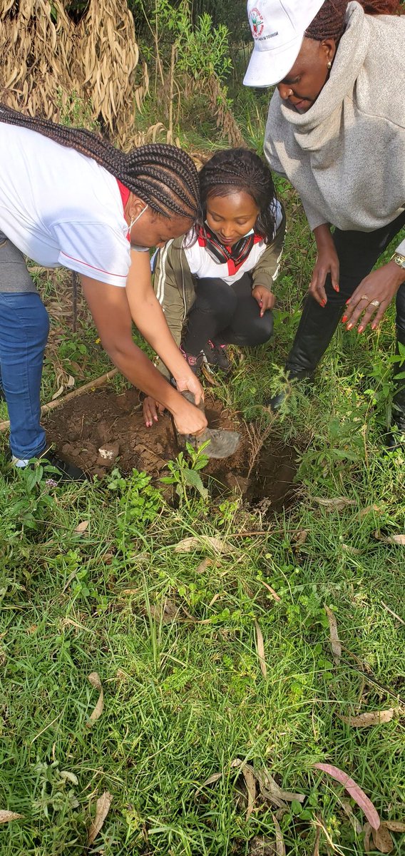 stellamarismega's tweet image. What a great weekend courtesy of @KAWTourism!!

#kawtagm2020 at Lake Naivasha Resort

#Eburruforest tree planting sponsored by @RiftValleyLodge 

#WOETAwardDinner at @Enashipai

#tembea #Nakurucounty