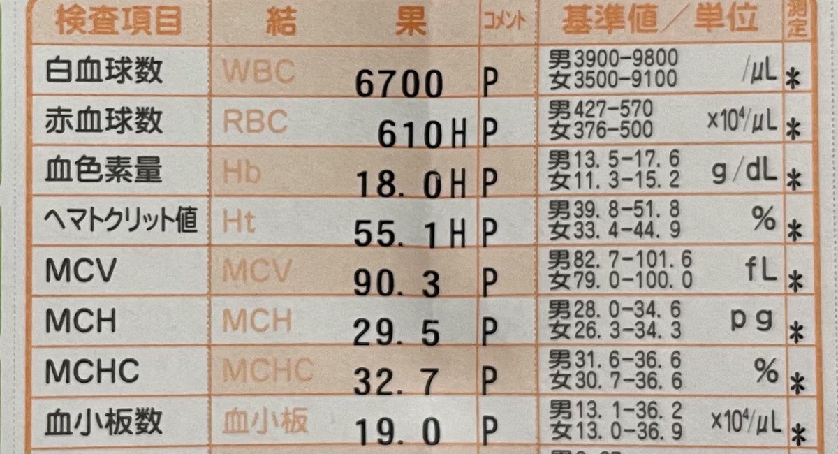 血の気が多い 血の気が多い