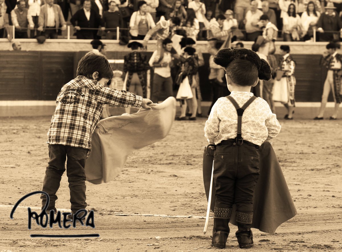 DOMINGUIN tweet media